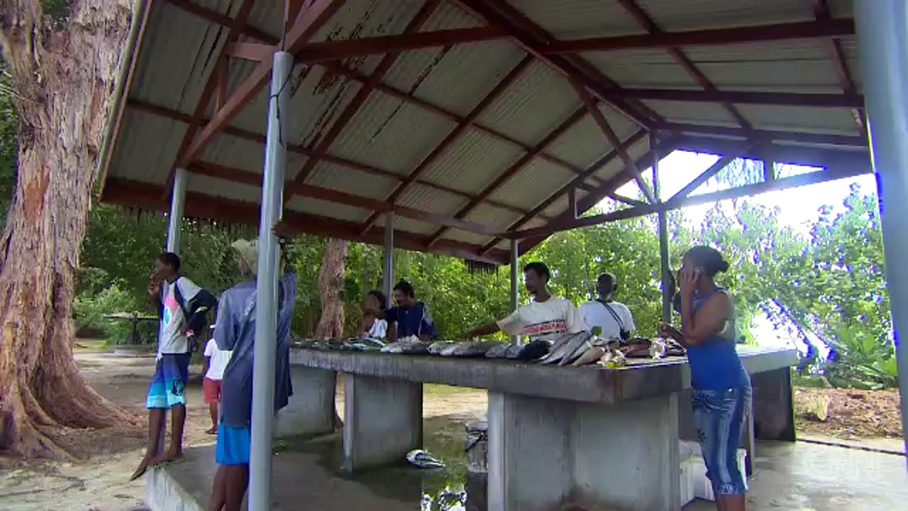CNN International - Inside Africa, Reef rescuers race against time