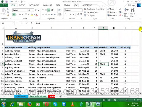 Ms Excel 2013 in Urdu Remove Duplicates Values