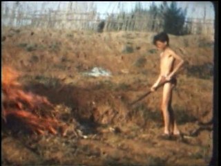 1950 Visite des parisiens à Alger