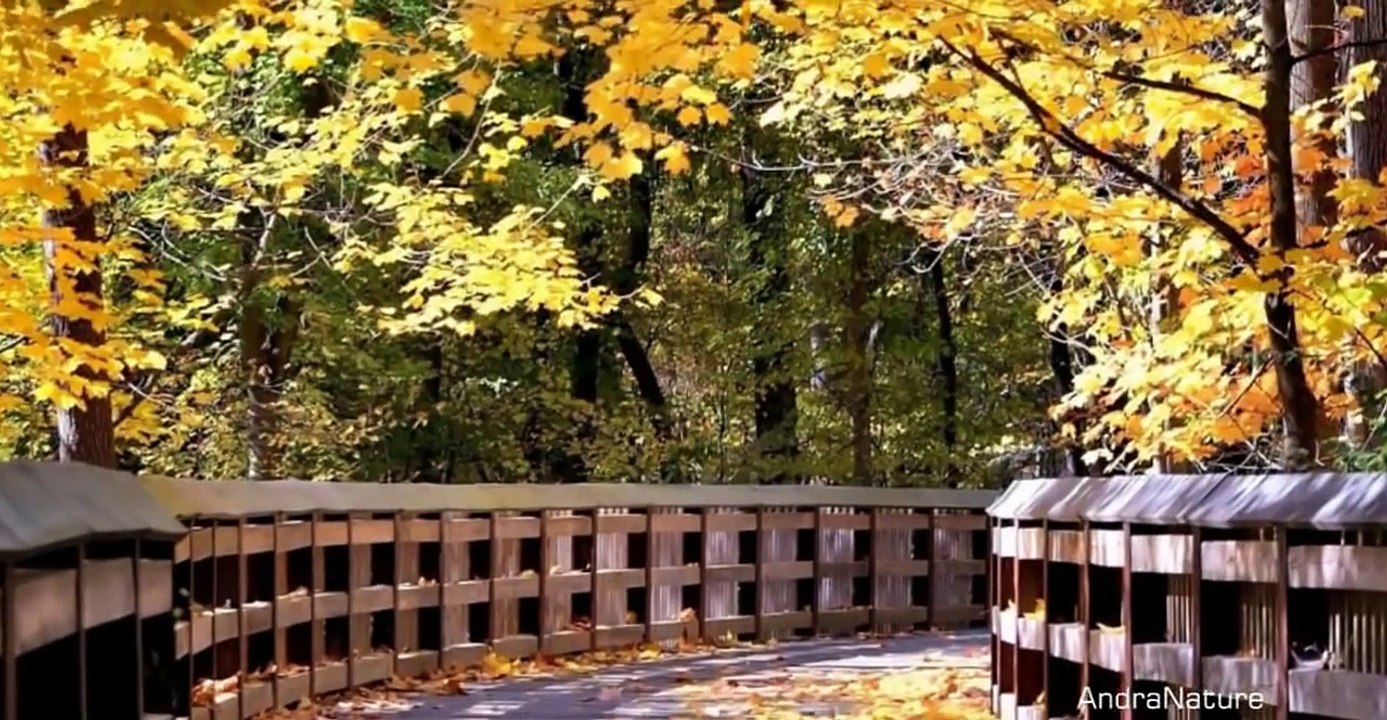 Golden Autumn [Raul Di Blasio - Nuestro Poema]