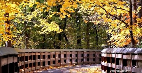 Golden Autumn [Raul Di Blasio - Nuestro Poema]