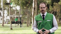 El OEFA como ente rector del Sistema Nacional de Evaluación y Fiscalización Ambiental