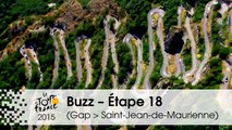 Buzz du jour / Buzz of the day - Étape 18 (Gap > Saint-Jean-de-Maurienne) - Tour de France 2015