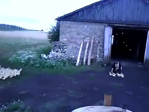 Ему-бы в цирке работать( или в армии служить)))