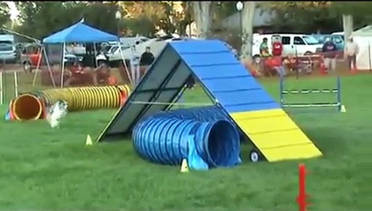 Jinn and Nicole at Aussie Nationals: Agility Finals 2009