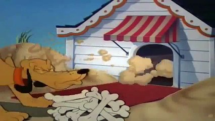 Porky Pig and Woody Woodpecker Cartoons Mix HD