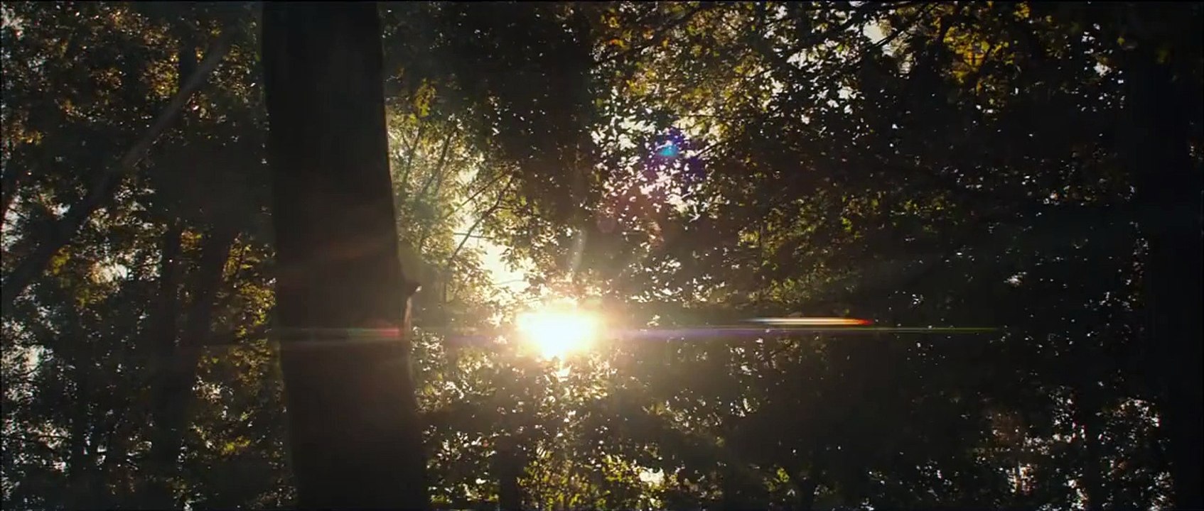 "Hunger Games La Révolte Partie 2" Bande-annonce VF