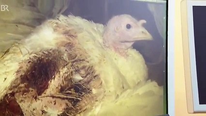 Vergessener Skandal BR Unser Land