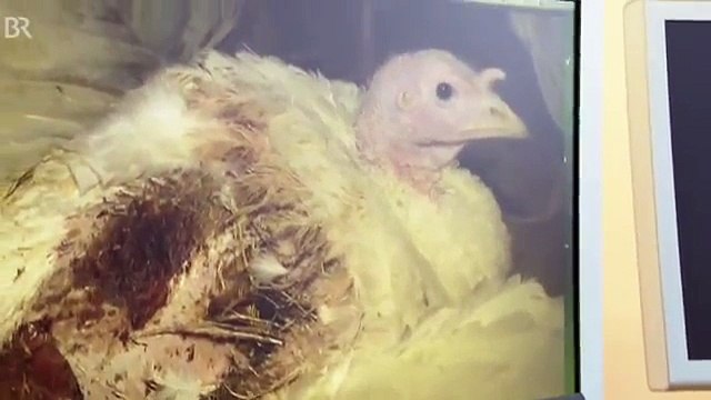 Vergessener Skandal BR Unser Land