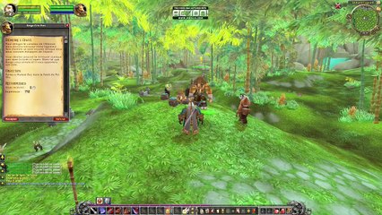 warcraft ( détruire l'épave ) 55