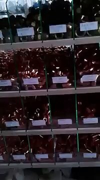 SİNCAN ALTUS SERVİSİ(0312)325 68 68