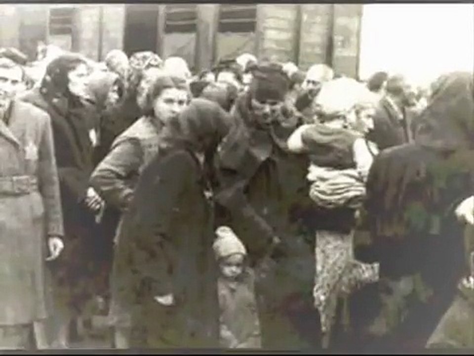 Never Again Wu-Tang killa Bees