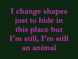 Miike Snow - Animal Lyrics