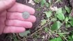 Diggin History #41 - Coins, relics, and an artifact in the woods ~ metal detecting.