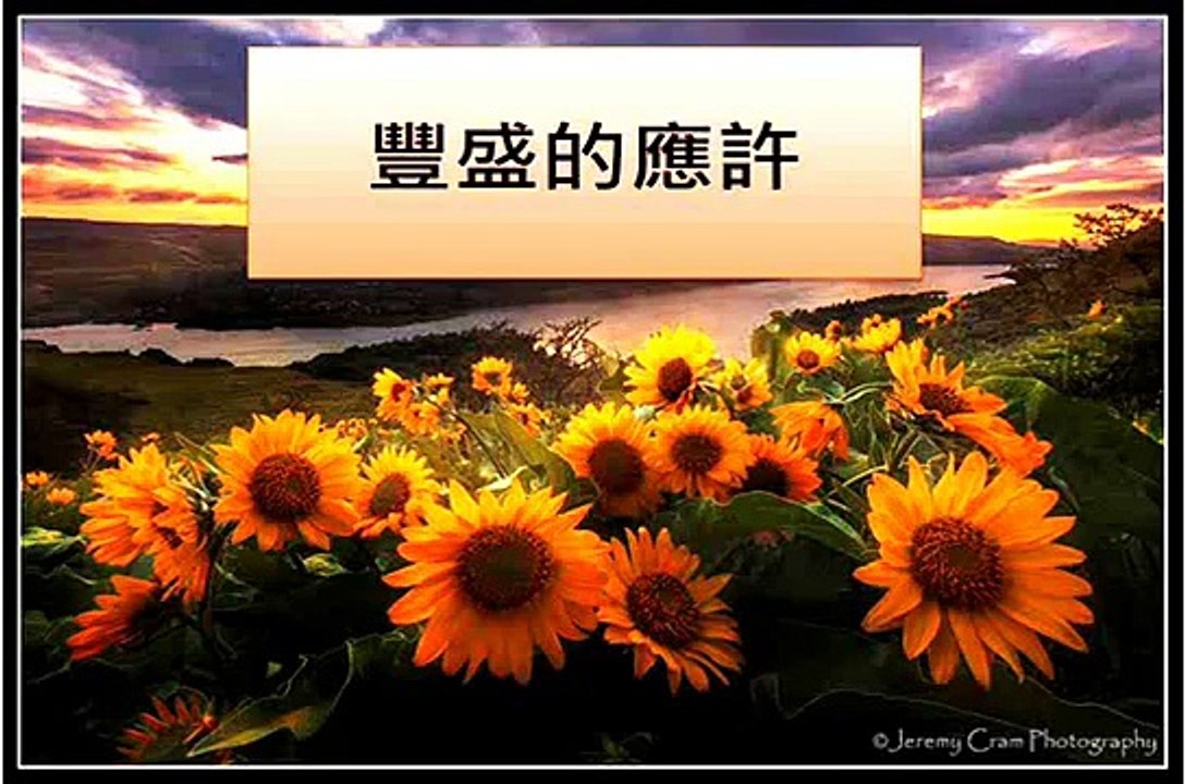 豐盛的應許-讚美之泉(高清晰版)