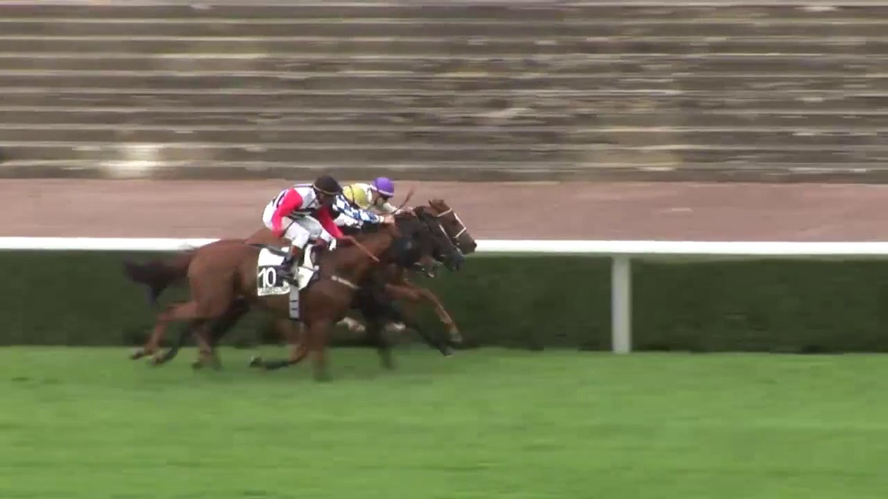 Instanturf_Application_mobile_ hippique