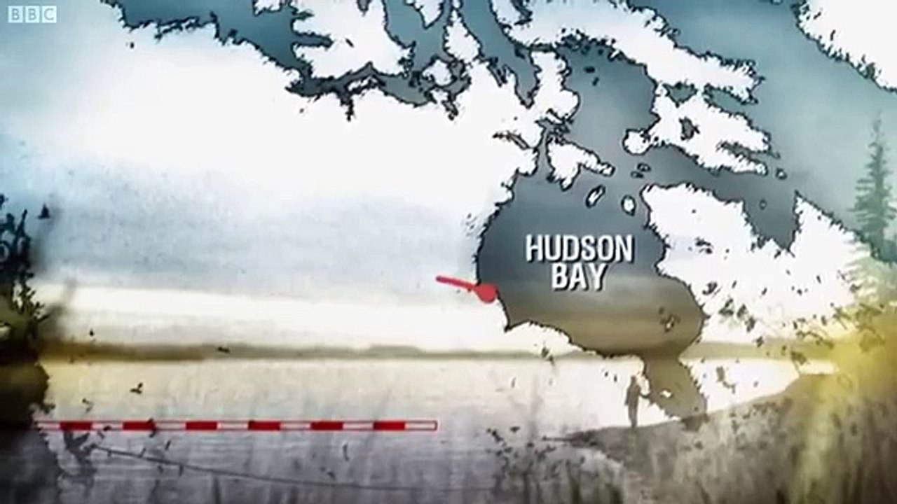 Ray Mears' Northern Wilderness 3 - The Unknown Pioneer (2009)