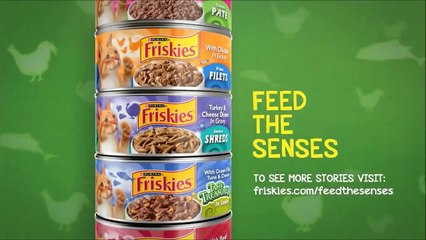 おもしろ猫！海外フリスキー（カルカン）の可愛いCM集　ベスト3