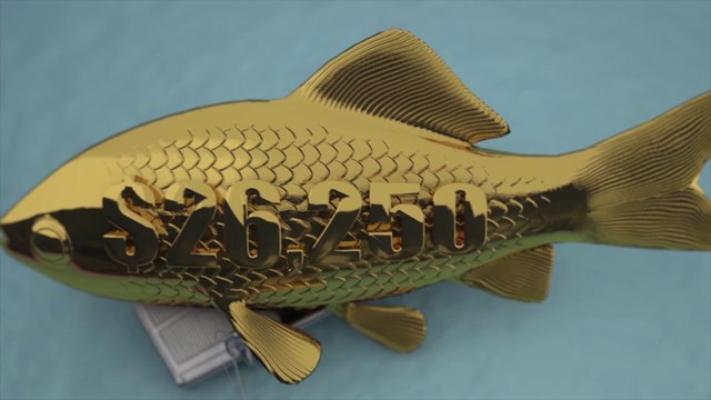 Как зарабатывать от 26250 $ в неделю благодаря Jeunesse Global.