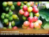 Ricardo Huancaruna conversa sobre las exportaciones de café peruano