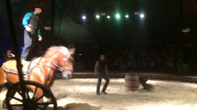 Cavale, le spectacle d'été du haras