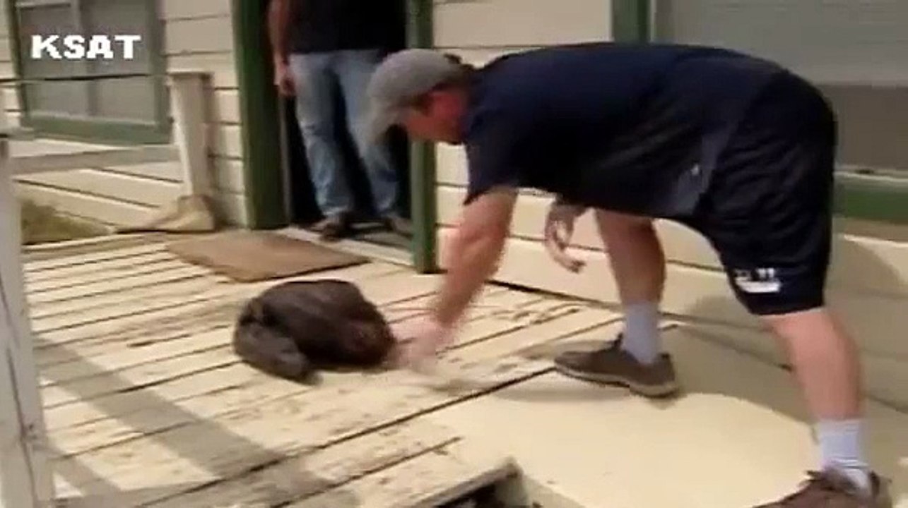 Chupacabra Remains Discovered