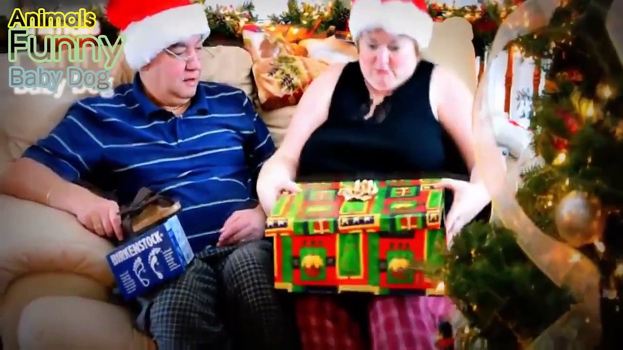 Christmas Puppy Surprise Compilation 2014 2015 Funny Animals Baby Dog