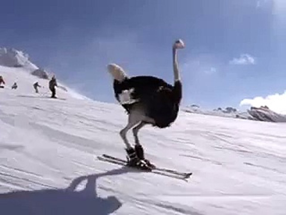 JR-SKI vol.3 TRIPLE JUMP (2004)