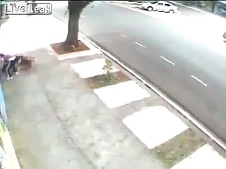 LiveLeak Cops kick the living sh1t out of attacking pitbulls