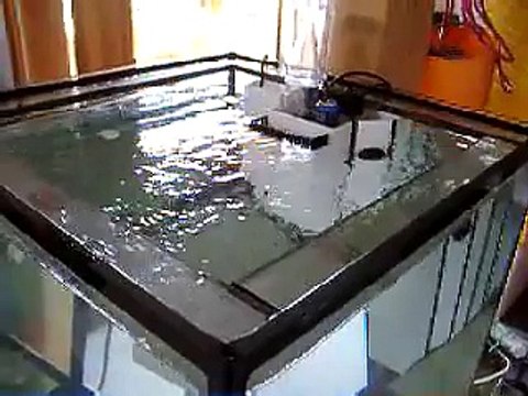 DIY wavebox with tunze nanostream 6055