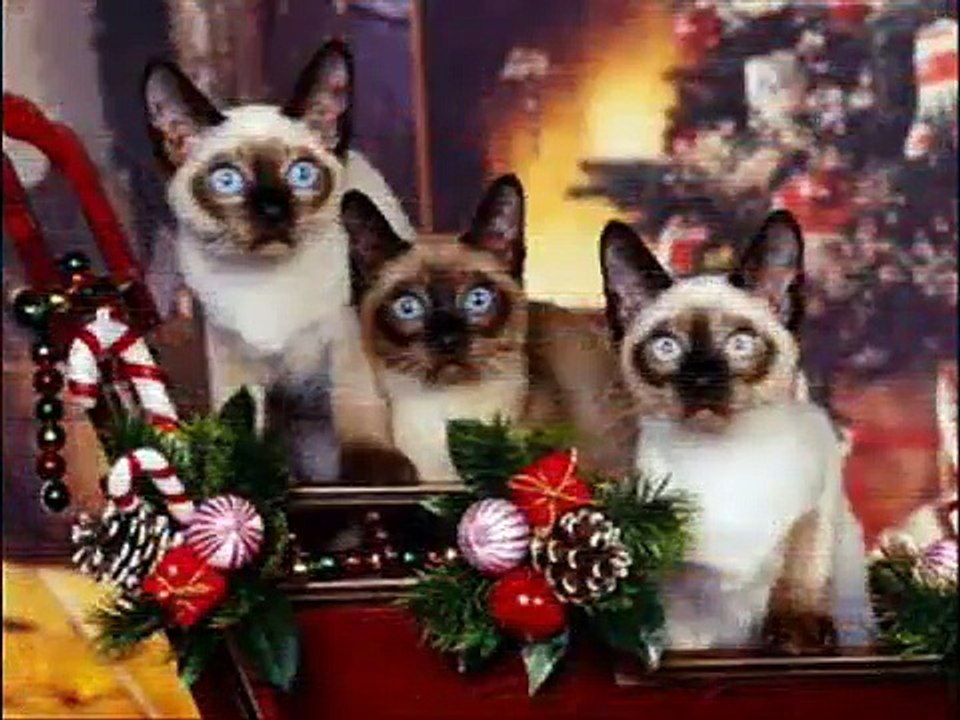 Animales Navideños-Feliz Navidad