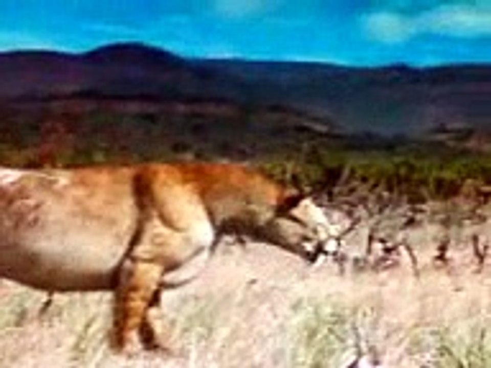 smilodon - 10,000 years ago   (2/2)