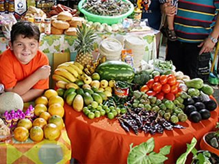 What Foods the World Eats, Hungry Planet, Nutrition Natalie