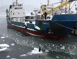 Sauvetage émouvant d'un chien pris sur un morceau de glace en Russie