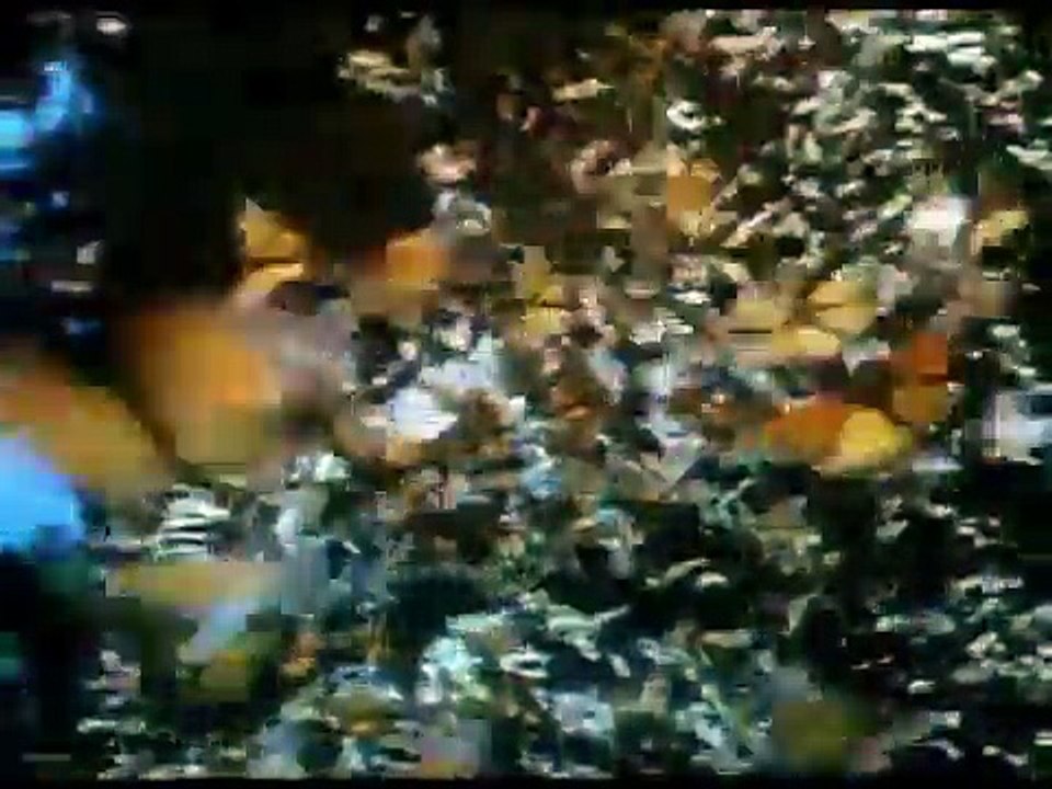 il cantico del Frate  Umile  che  esalta la bellezza del creato.mpg