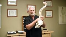 Low Back Pain Relief, Sciatica Treatment & the Spine by Austin Chiropractor