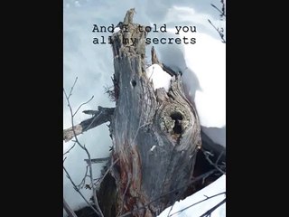 James Blunt - The Only One [Lyrics]