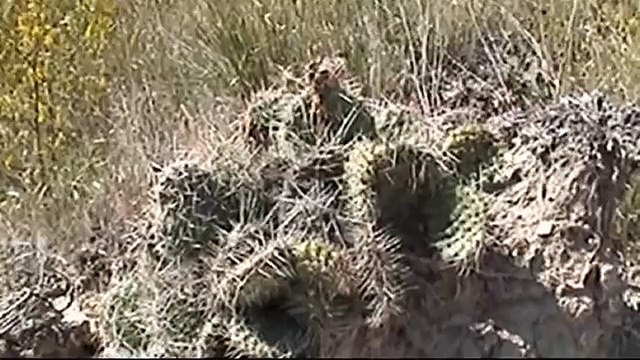 Badlands of SD- Badlands Loop