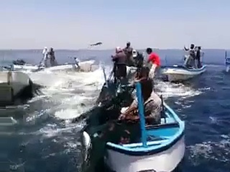 Amazing Fishing Video