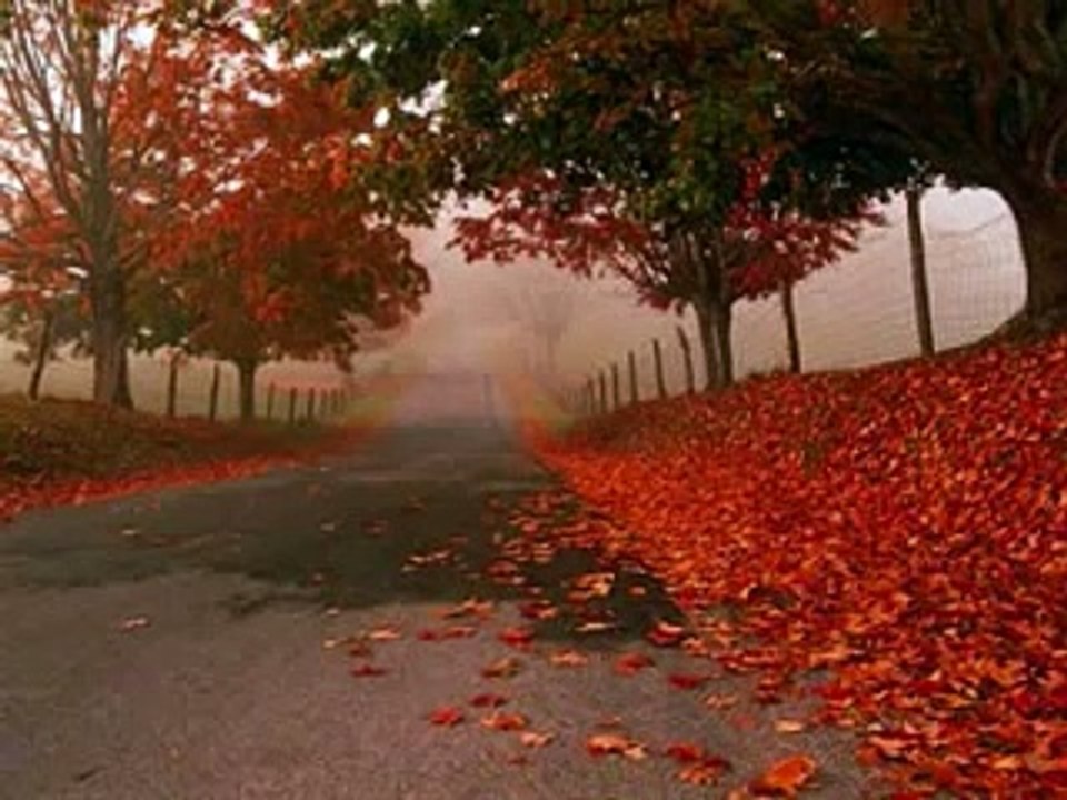 Hossein Panahi حسين پناهی