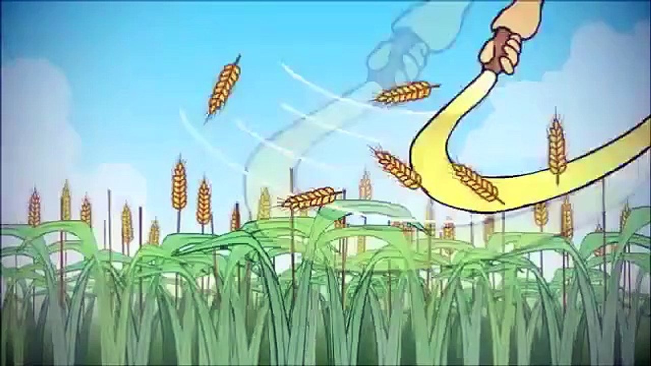 children-s-animated-bible-stories-wild-stories-about-jesus-video