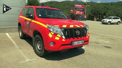 En Corse, une bactérie menace les oliviers