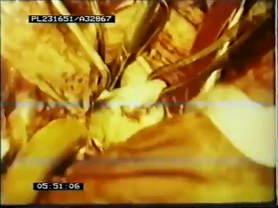 Will The Real Mr. Sellers Please Stand Up (1969)