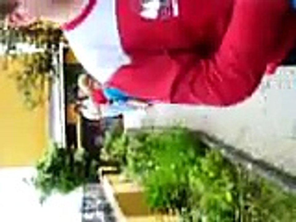regar