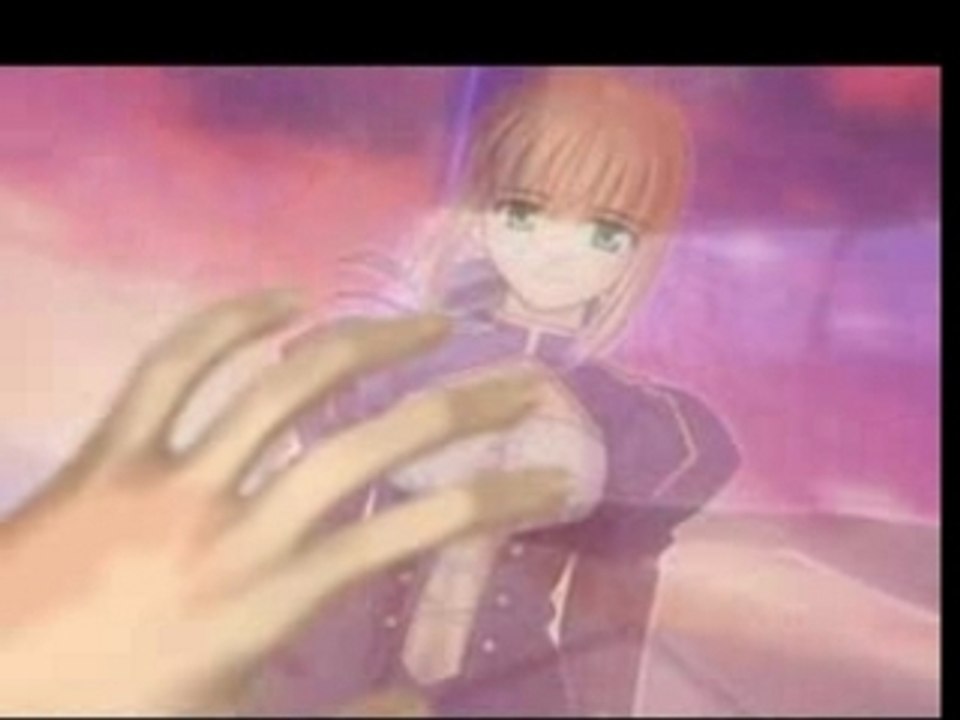 Evolution-Fate Stay Night