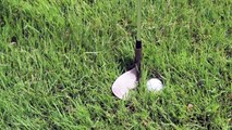 Millbrook Resort:Golf Lesson - How to hit pitch shots from the rough