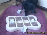 Interactive pet activity toys. DOG BRICK PLASTIC