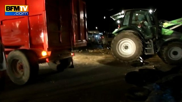 Crise des éleveurs: nuit de détresse dans le Sud, les supermarchés visés