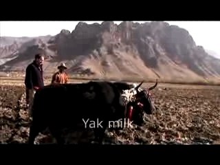 Yak Does a Body Good