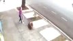 When Crazy Animals Attack Rabid Pit Bulls attack woman walking with her dogs ~ Best Funny Animals1
